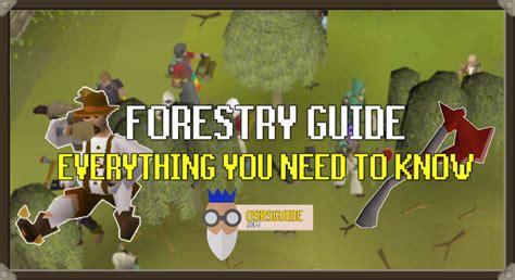 OSRS Forestry Guide – Everything You Need to Know.